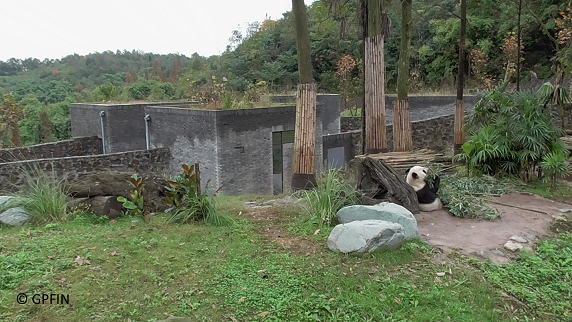 Dujiangyan Panda Base and Center for Disease Control
