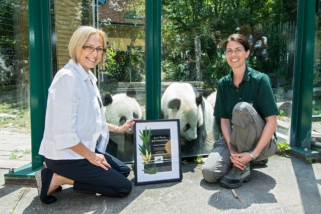 Jubiläum: 20 Jahre Panda-Kooperation im Tiergarten Schönbrunn