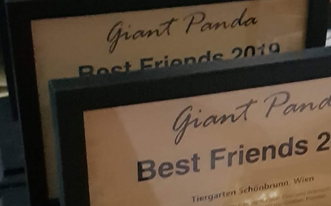 Giant Panda Friends International: Buchtipp des Jahres