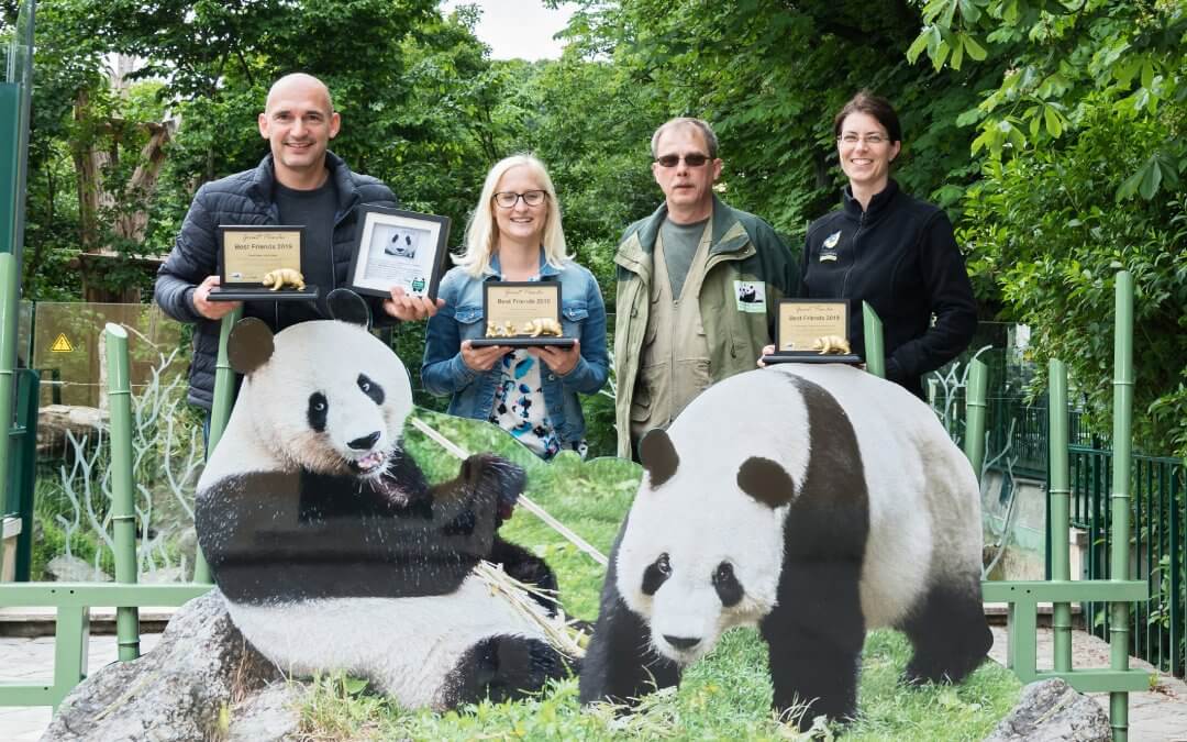 Giant Panda Best Friends Award 2019