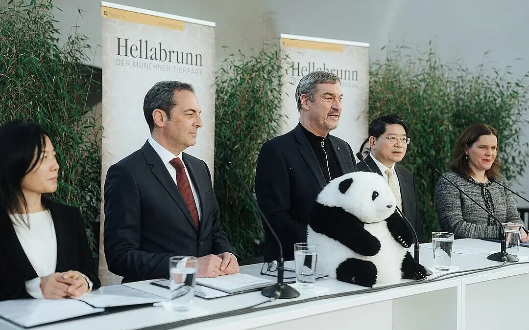 Große Pandas für den Münchner Tierpark Hellabrunn